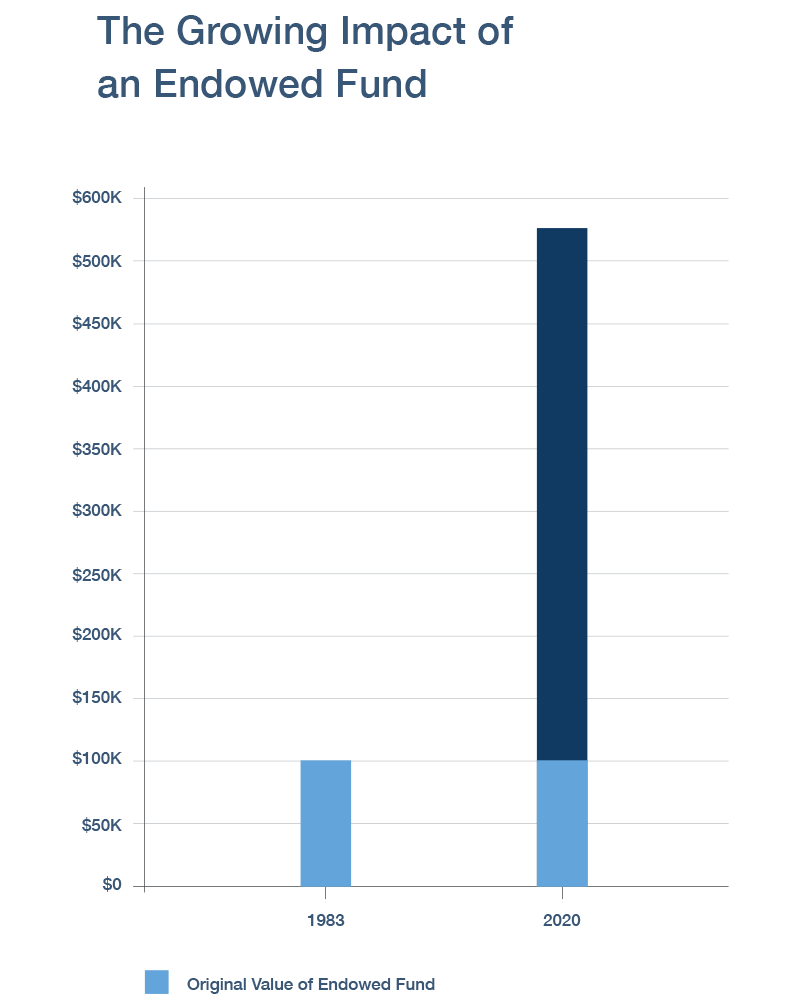 Impact of Endowed Fund